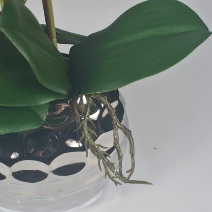 Artificial Orchid Plants & Flowers Arrangement in Ceramic Pot, Fake Faux White Orchid with Silver Vase, Faux Orchids for Home Decor Indoor