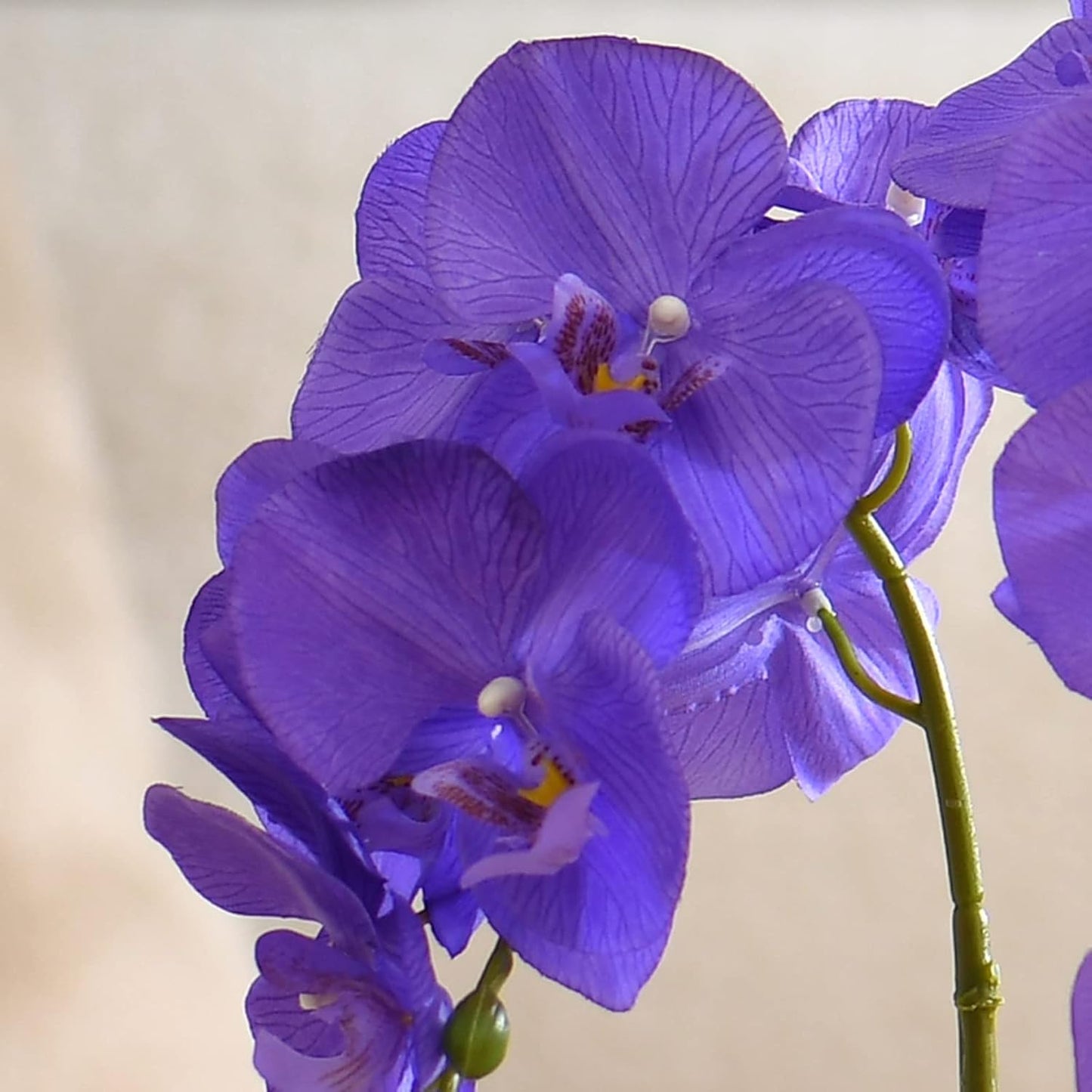 Large Artificial Potted Orchid Plant, Silk Flower Arrangement with Ceramics Vase, Purple