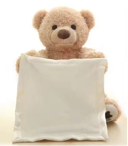 Peek a Boo Talking Teddy Bear