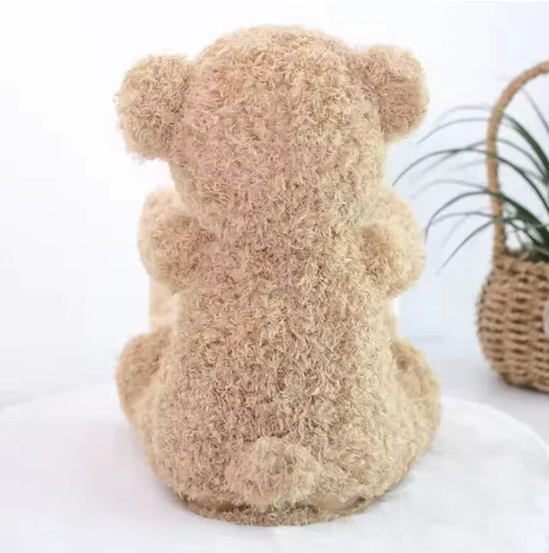 Peek a Boo Talking Teddy Bear