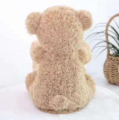 Peek a Boo Talking Teddy Bear