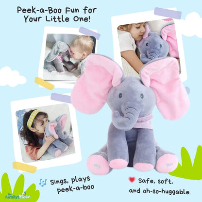 Peek a Boo Talking Teddy Bear