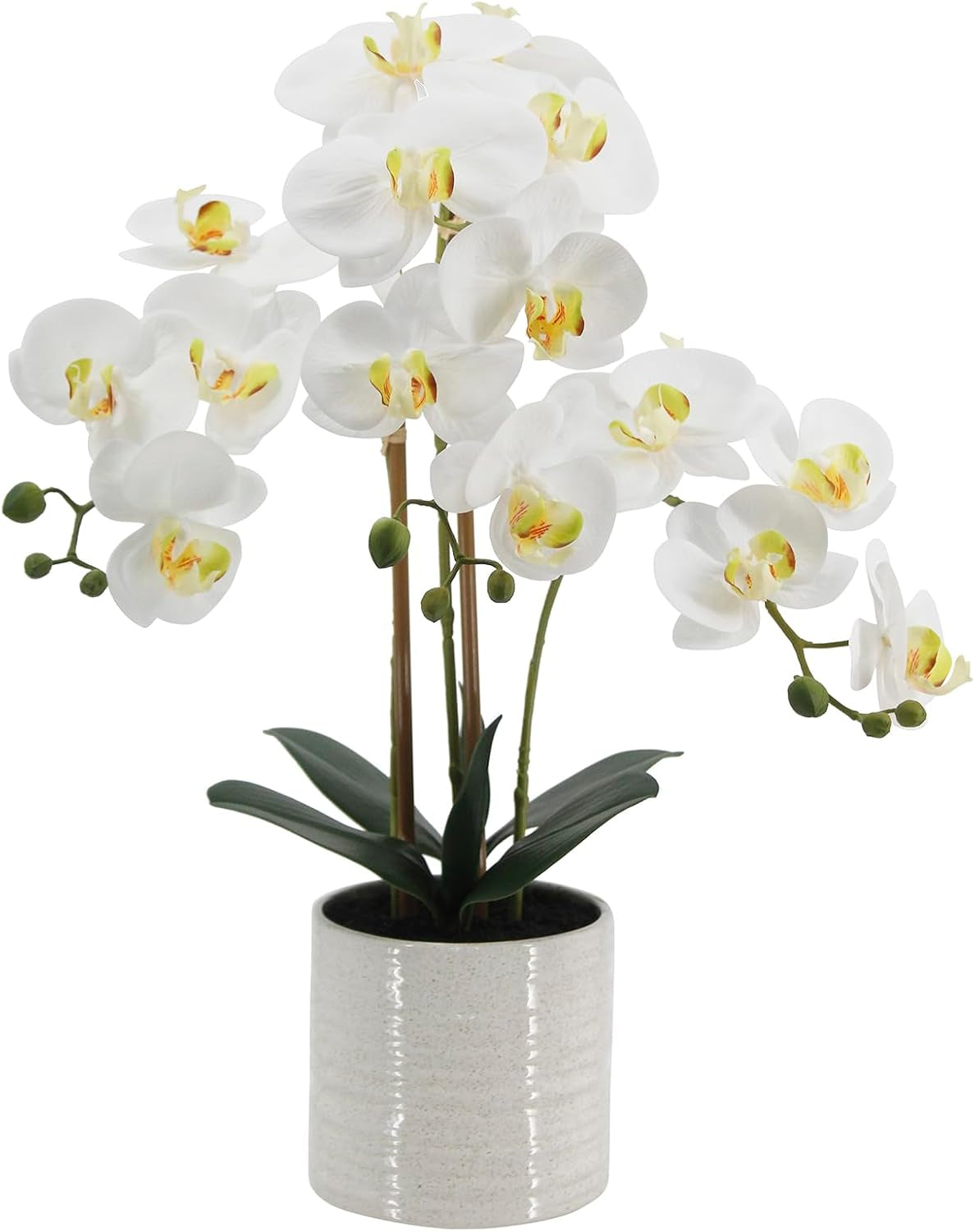 Fake Orchid Plant 23" Tall, Realistic Touch Leaves, Potted Phalaenopsis Artificial Plants Indoor for Home Decor Small Office Home Living Room-White